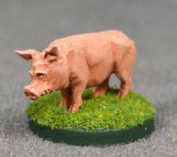 Pig Standing